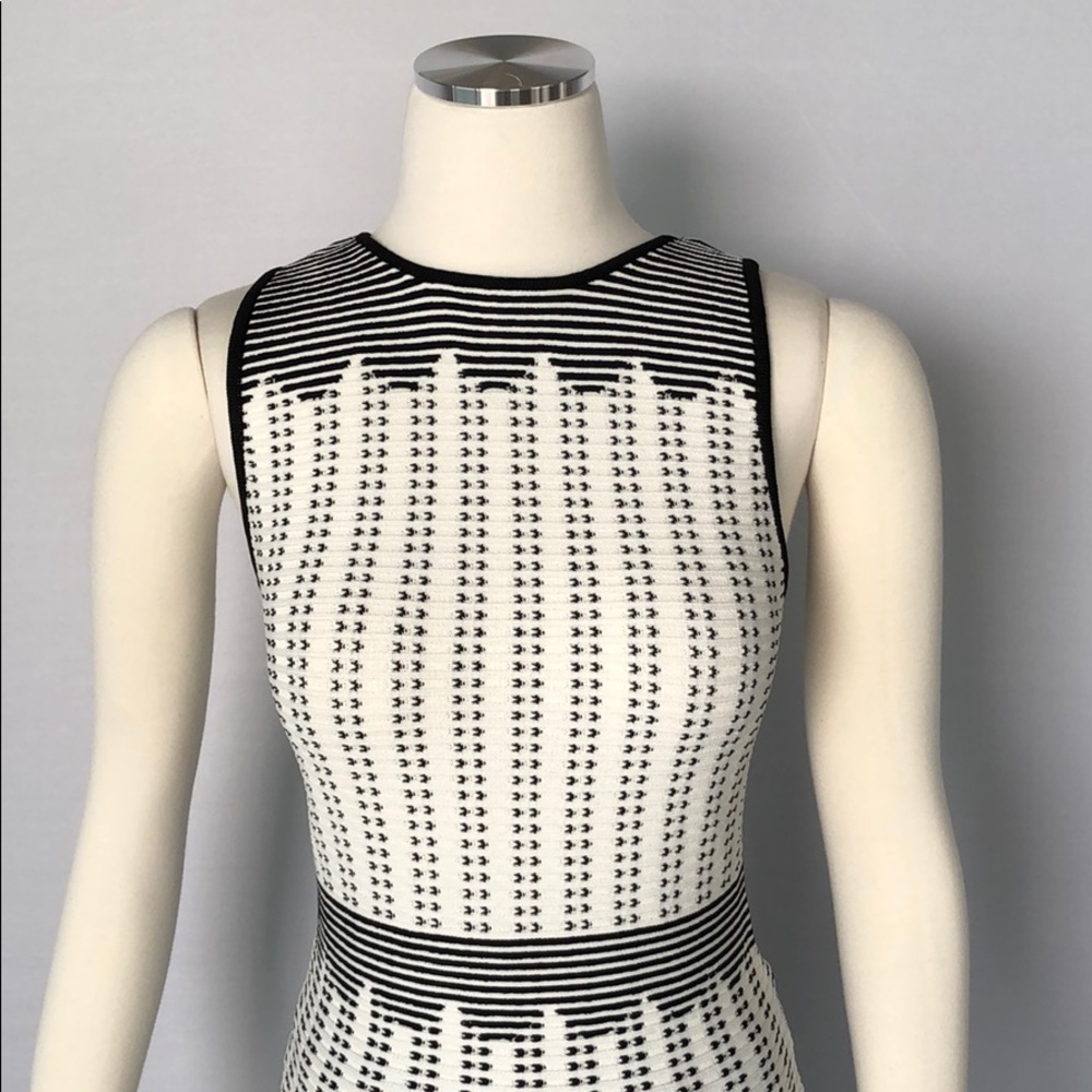 NWT WHBM Sleeveless Graphic Dot Sweater XS - Picture 9 of 15